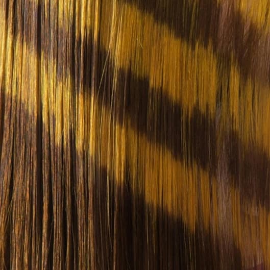 Lowlight and Blowout